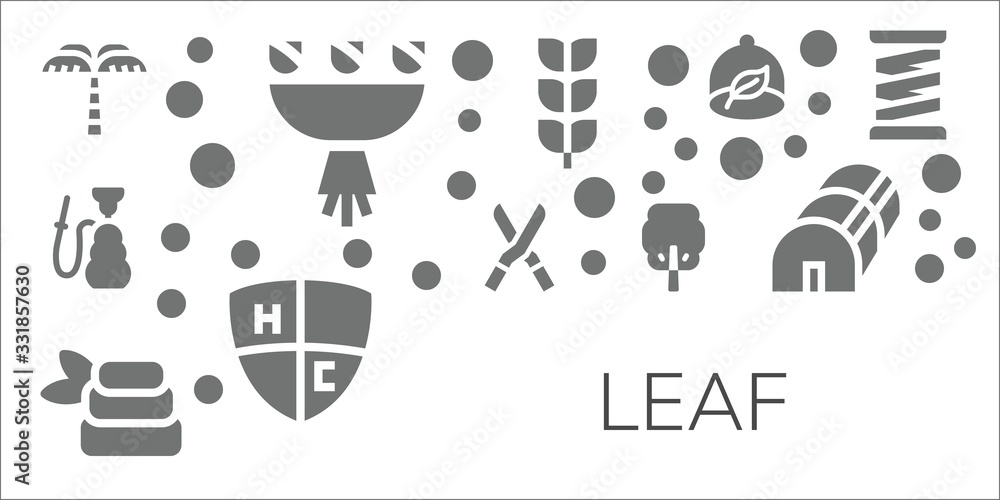 leaf icon set
