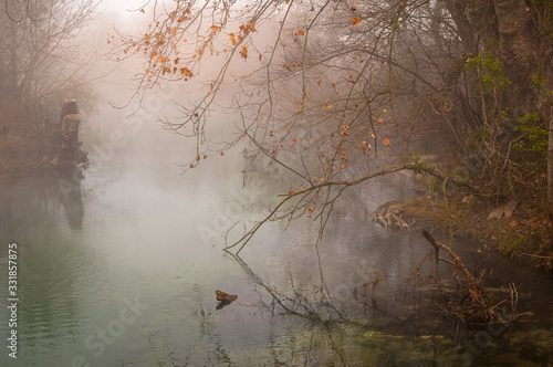 misty morning on the river Sorgue in autumn , fall, provence France.
