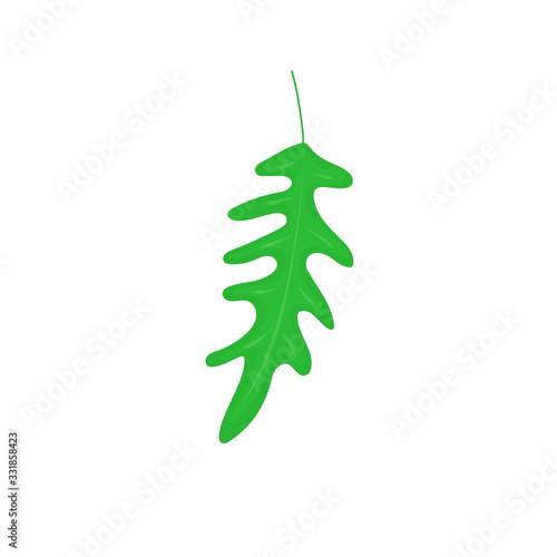 arugula vector illustration isolated on white background