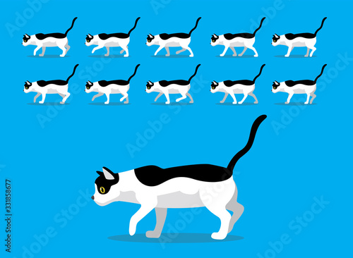 Animal Animation Sequence Cat Aegean Cartoon Vector