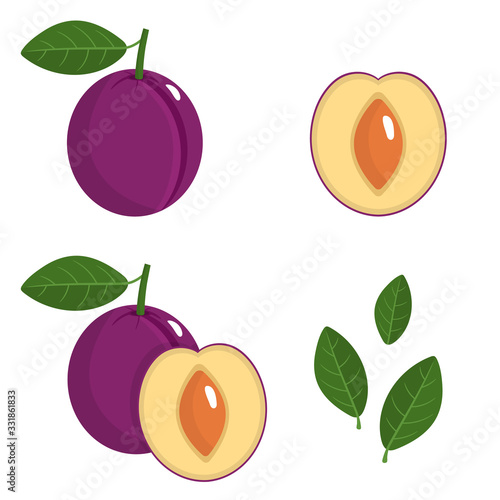 Set of fresh whole, half, cut slice and leaves plum fruit isolated on white background. Summer fruits for healthy lifestyle. Organic fruit. Cartoon style. Vector illustration for any design.
