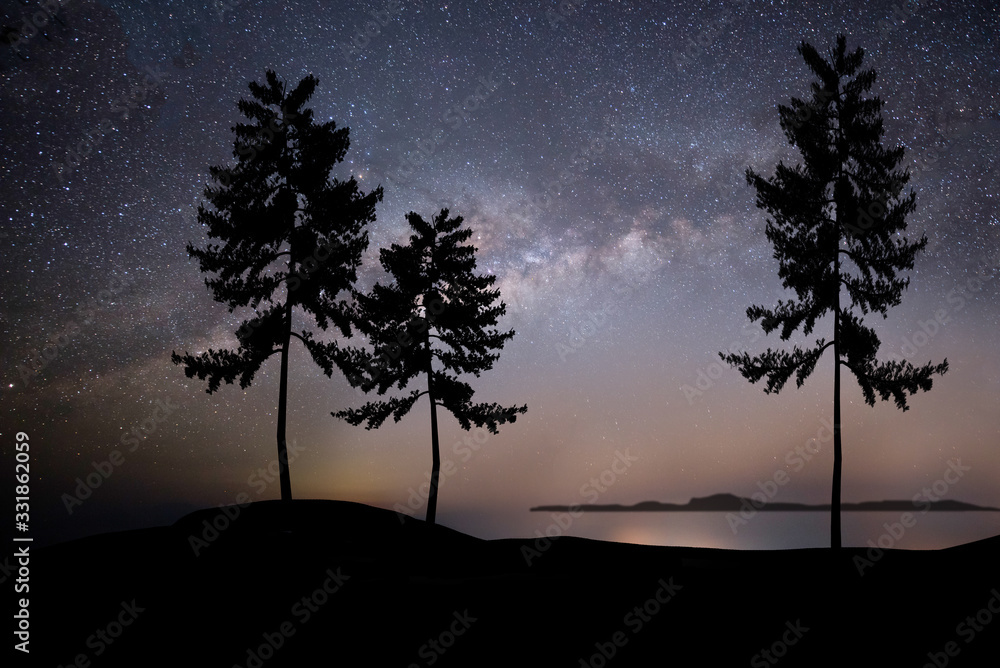 Milky Way shot in a mountainous area with the first floor silhouettes of three large bare trees Milky Way shot in a mountainous area with the first floor silhouettes of three large bare trees