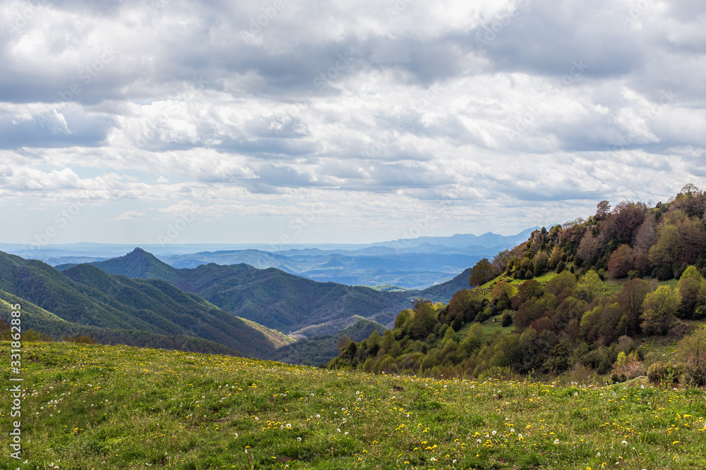 A hill with flowers and trees on cloudy day. Ridges of the mountains covered by the forest at the background. Nature landscape