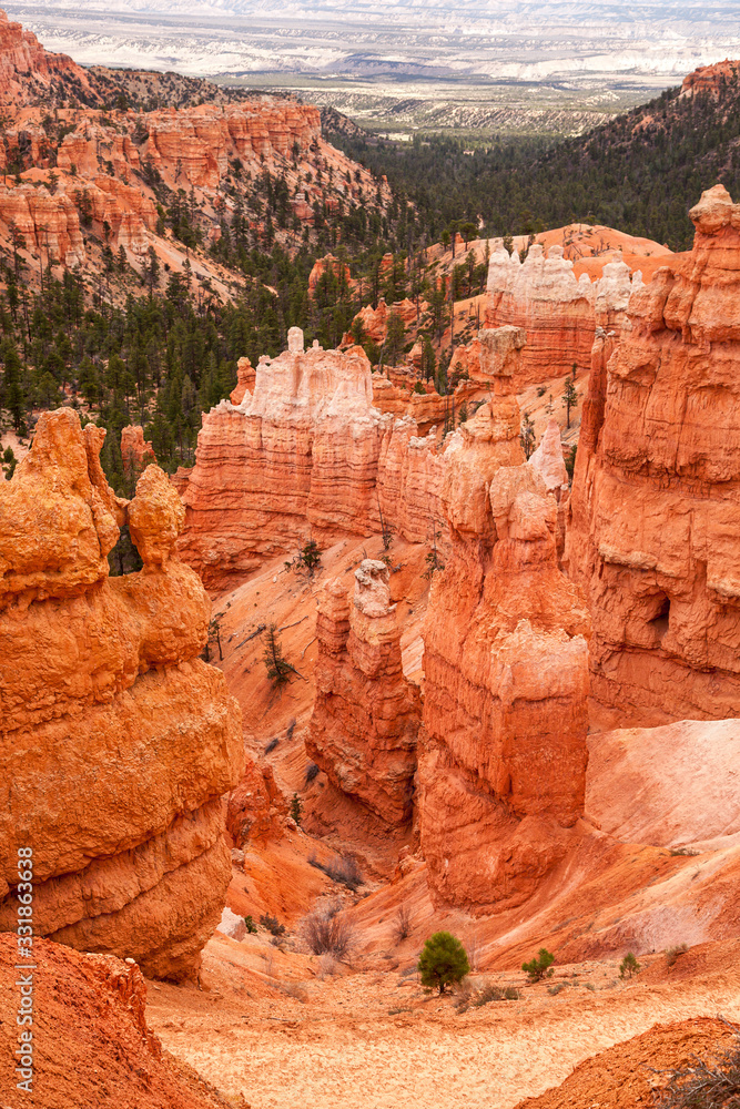 The Hoodoo rock spires and evergreen trees of Bryce Canyon The Hoodoo rock spires and evergreen trees of Bryce Canyon