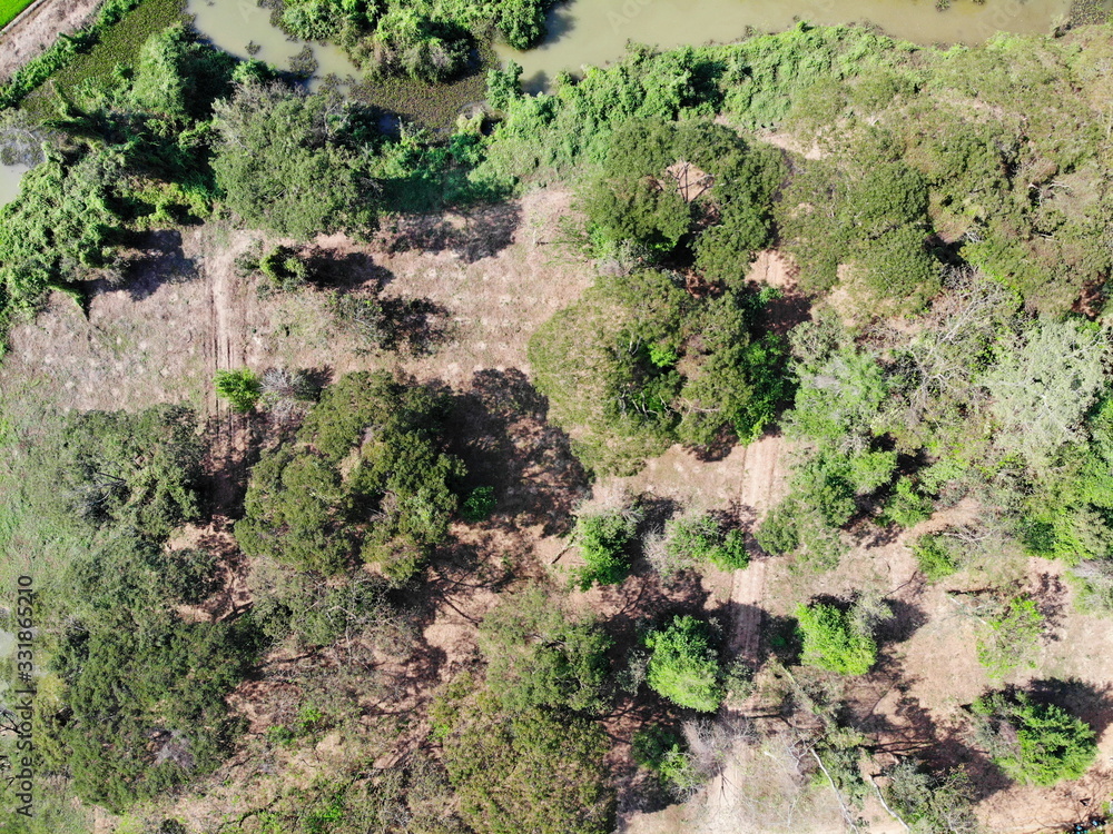 custom made wallpaper toronto digitalAerial photography drone countryside agriculture and forest 