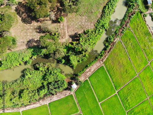 Canvas Print Aerial photography drone countryside agriculture and forest