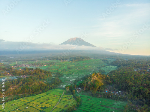 Rice fields and mount Agung in Bali, Indonesia
