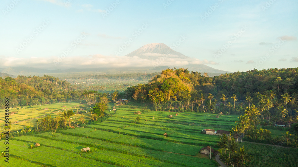 Rice fields and mount Agung in Bali, Indonesia