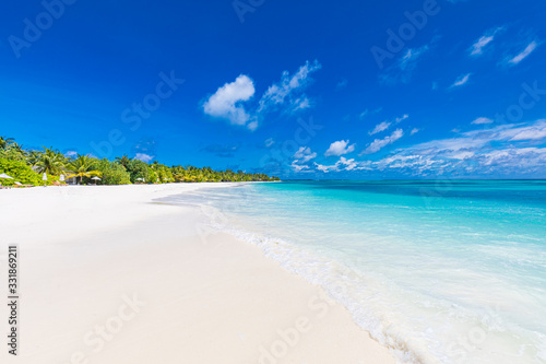 Palm trees with white sandy tropical beach. Summer exotic landscape, wonderful scenery. Luxury vacation and holiday mood