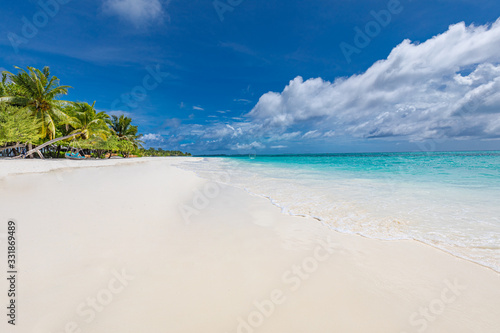 Palm trees with white sandy tropical beach. Summer exotic landscape, wonderful scenery. Luxury vacation and holiday mood
