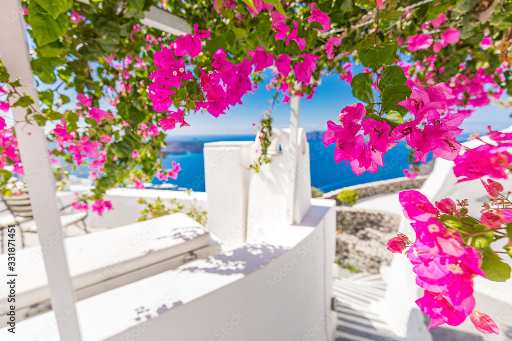 Amazing travel landscape in Santorini, Greece. White architecture with pink flowers under blue sky. Tranquil caldera view, summer landscape, peaceful scenery for summer vacation and holiday