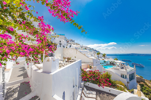 Fototapeta Amazing travel landscape in Santorini, Greece. White architecture with pink flowers under blue sky. Tranquil caldera view, summer landscape, peaceful scenery for summer vacation and holiday