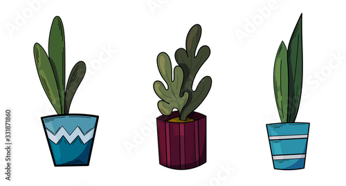 Set of colored vector illustrations. White background. Illustrations of flowerpots. Vector illustration for greeting card, invitation, design, brochure, poster, banner, flyer, print, textiles and webs