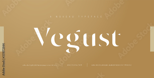 Elegant alphabet letters font and number. Classic Lettering Minimal Fashion Designs. Typography fonts regular uppercase, lowercase and numbers. vector illustration