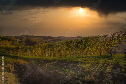 landscapes of the Piedmont langhe in the autumn after the harvest