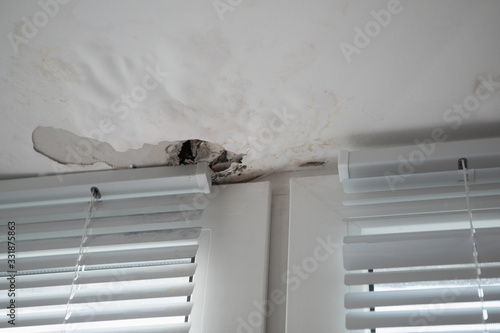 Obraz na płótnie Black Mold fungus grows in the Living Room near the Window, the Walls and Ceiling are covered with Mold