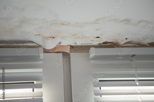 Konstfotografi Black Mold fungus grows in the Living Room near the Window, the Walls and Ceiling are covered with Mold