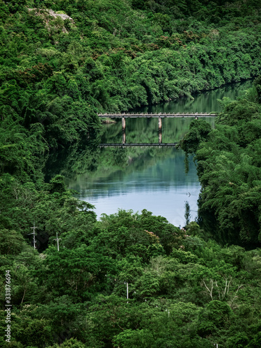 long bridge among the green forest and mountain