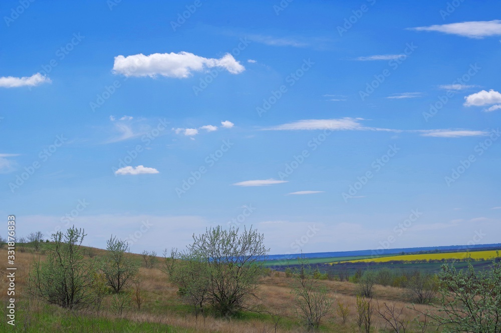 Spring day in the steppes with rare trees Spring day in the steppes with rare trees