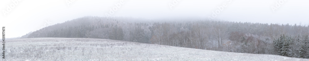 A mountain top in the winter fog
