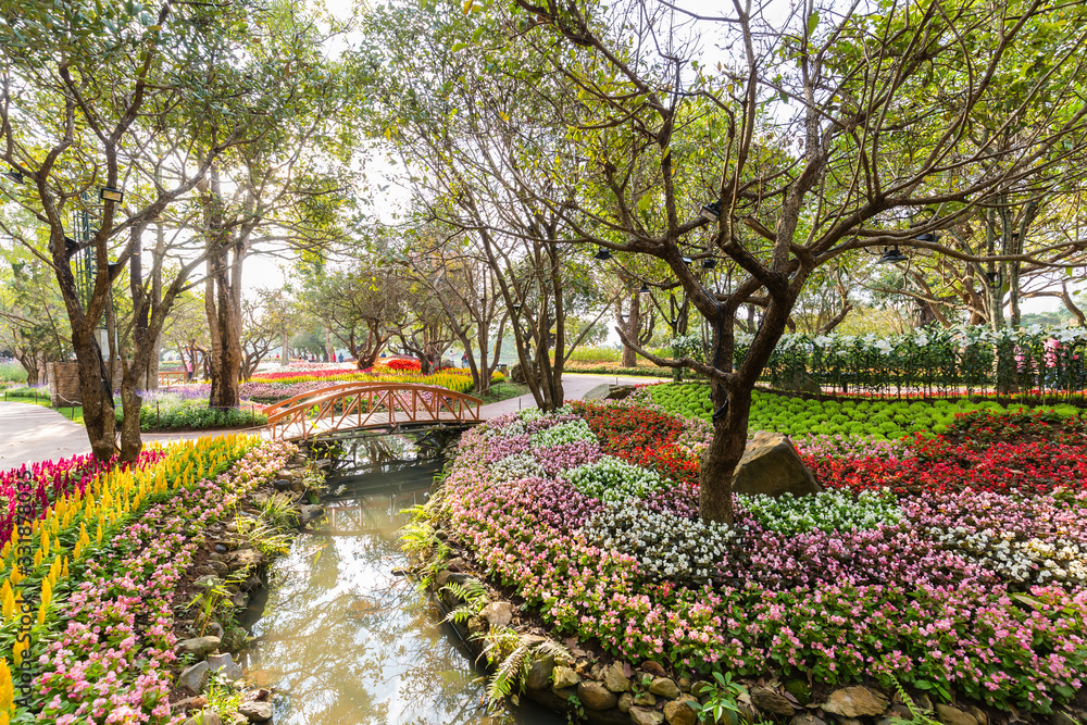 Obraz premium garden with flowers