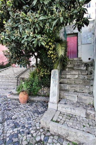 Narrow and colorful streets of Lisbon in a cloudy day photo