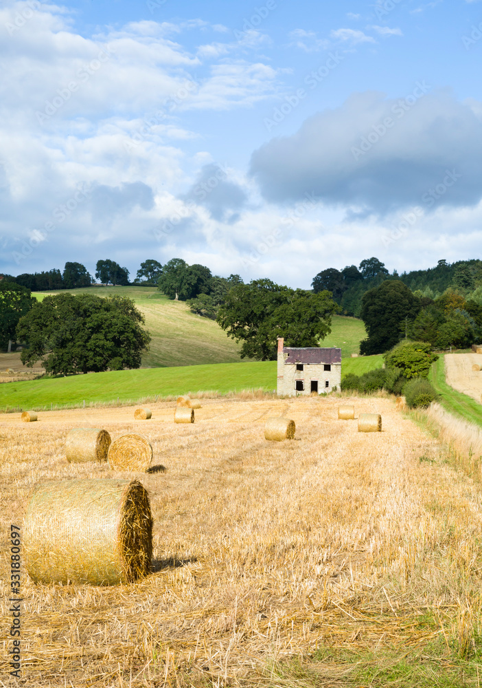 Hay bales in a field, UK