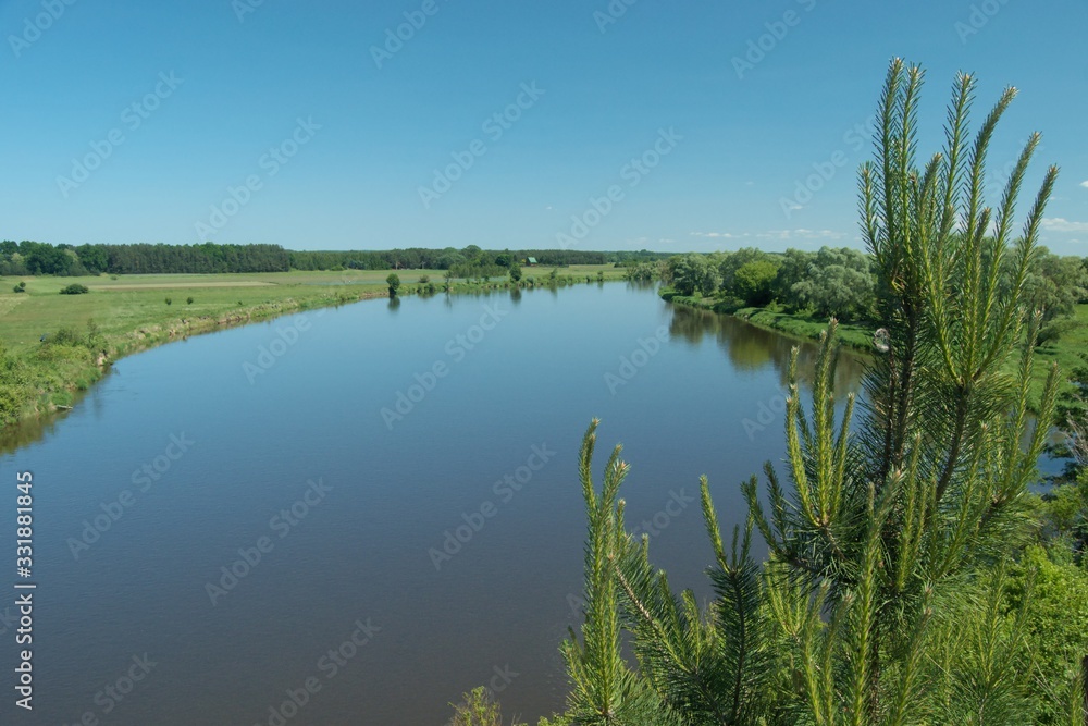 Bug River. Poland wschodnia.Dolina river with trees growing on the shore.