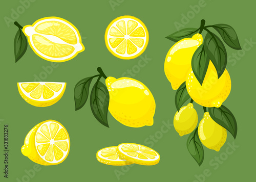 lemons. fresh natural juice exotic tropical fruits sliced healthy products for lemonade. vector cartoon food