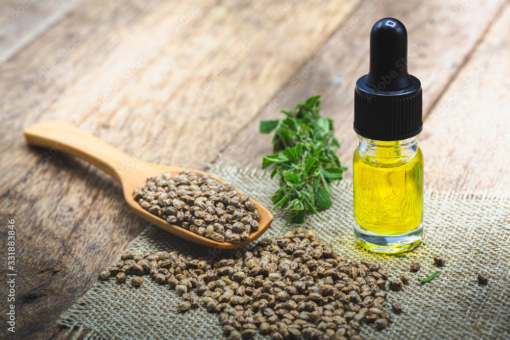 Cannabis seeds and CBD oil cannabis extract, green hemp leaf background, Medical cannabis concept. Cannabis seeds and CBD oil cannabis extract, green hemp leaf background, Medical cannabis concept.