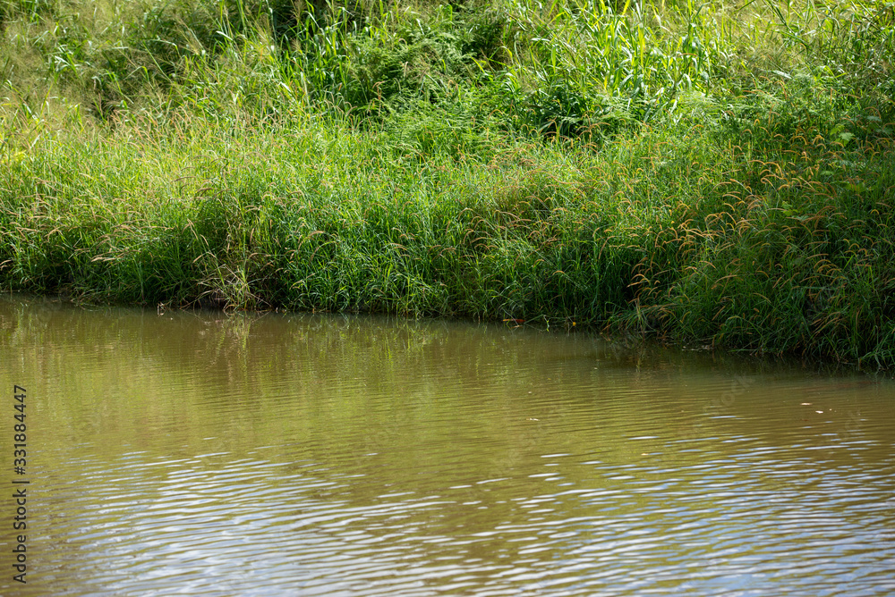 カモノハシが住む環境