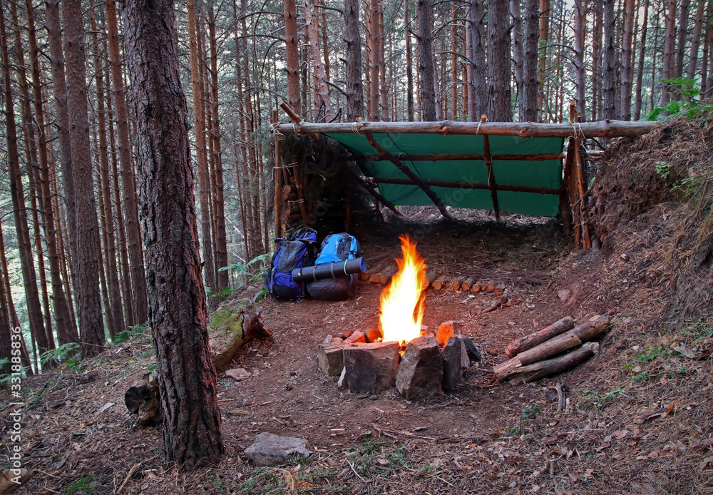 Bushcraft shelter built in the middle of a pine tree forest