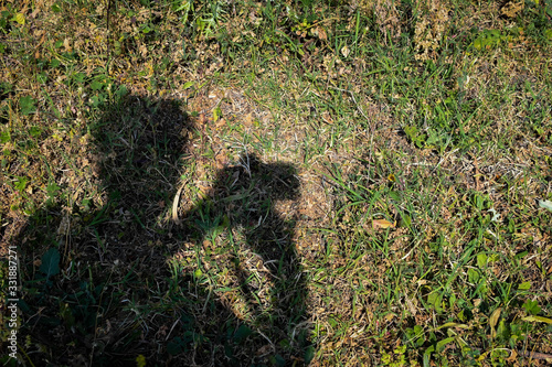Fototapeta Photographer's self-portrait in shadow