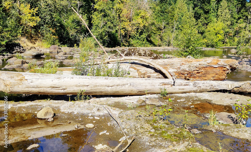 Bright sunny day in Skamania County with a log on Rock Creek in the summertime in Washington State photo