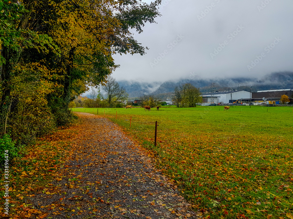 Naklejka premium Walking with nature and animals