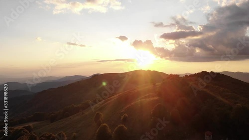 Flight over the woods