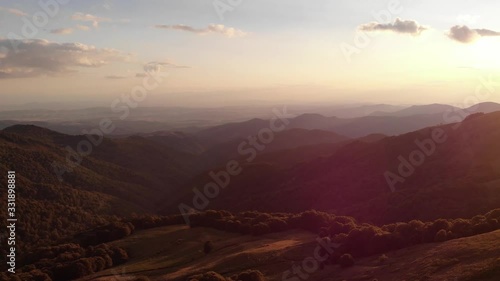 Flight over the woods