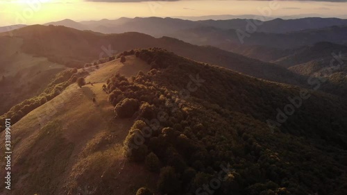 Flight over the woods