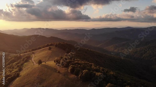 Flight over the woods