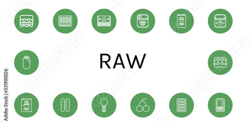 raw simple icons set