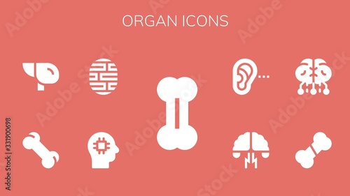 organ icon set