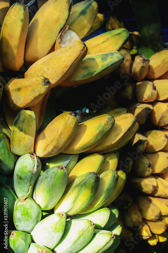 Close up of banana fruit in the garden