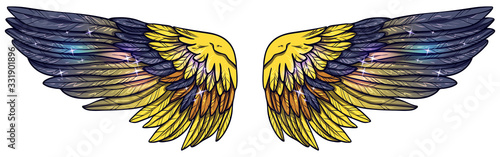 Beautiful glowing magic shiny yellow violet wings, wint blue and orange feathers, vector