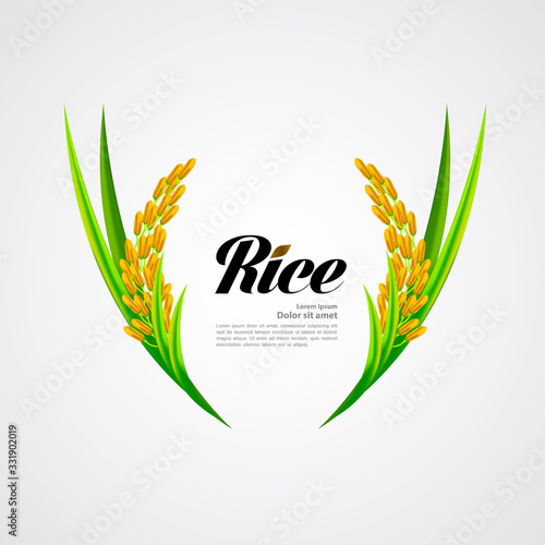 Premium Rice great quality design concept  vector.