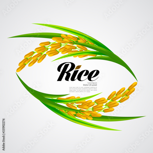 Premium Rice great quality design concept  vector.