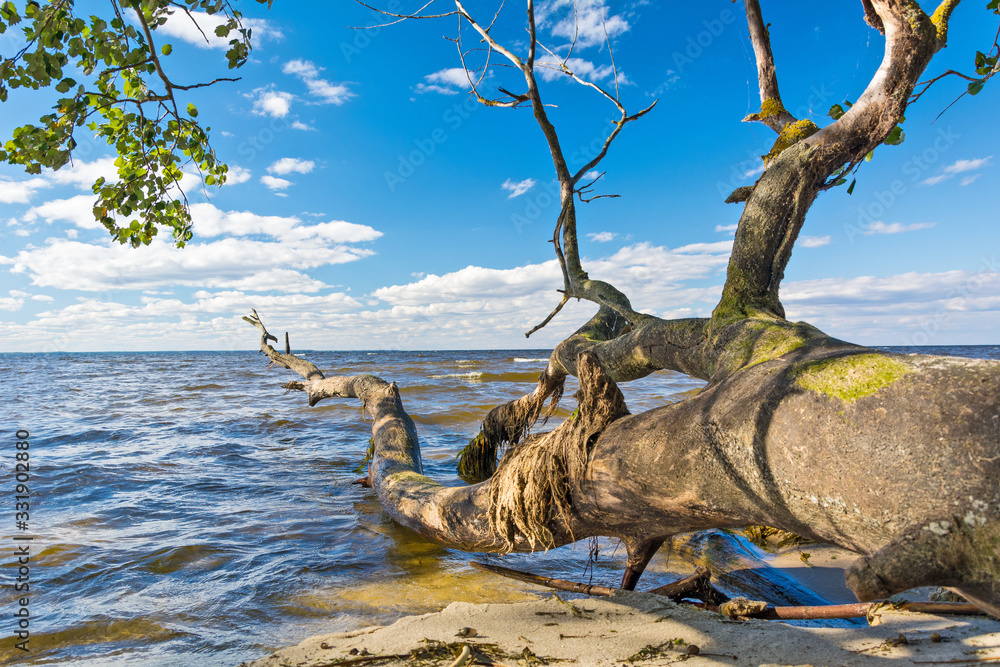 SnagIt on a deserted shore of northern Lake SnagIt on a deserted shore of northern Lake
