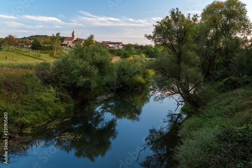 Wallpaper Mural forest Torontodigital.ca