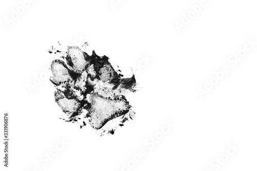 Dog dirty black track isolated on white background. Dog footprint