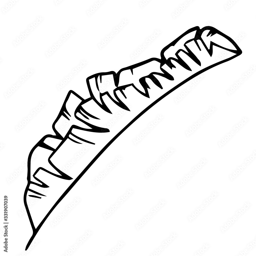 Single hand drawn exotic tropical leaf. In doodle style, black outline isolated on a white background. Cute element for cards, posters, social media banners, stickers. Vector illustration. Single hand drawn exotic tropical leaf. In doodle style, black outline isolated on a white background. Cute element for cards, posters, social media banners, stickers. Vector illustration.