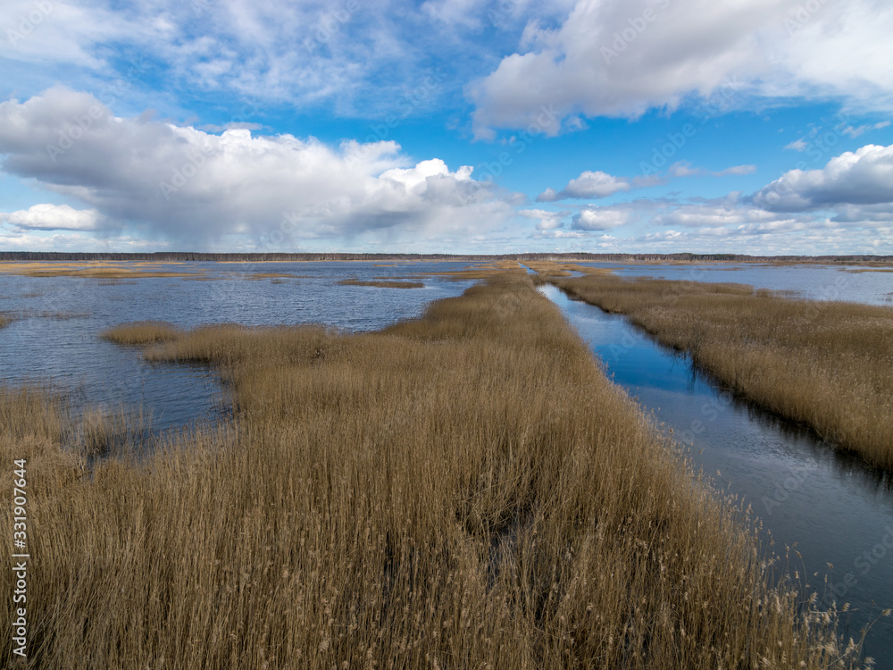 view from tower to bog lake, many reeds